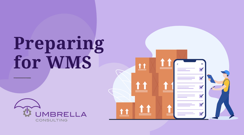 6 Things to Consider Before Diving into a Warehouse Management System (WMS)
