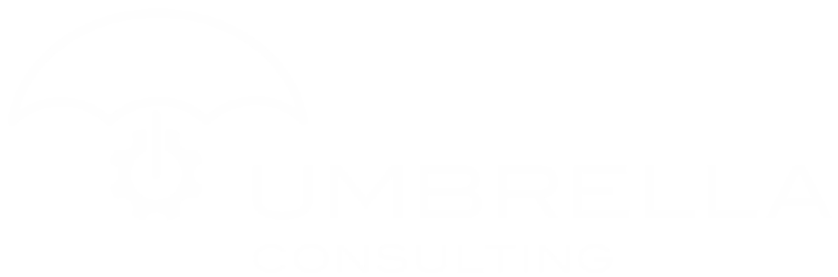Umbrella Consulting
